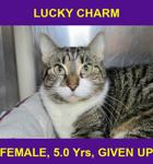 LUCKY CHARM